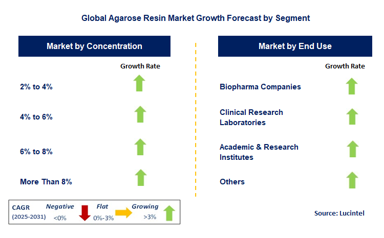 Agarose Resin Market by Segment