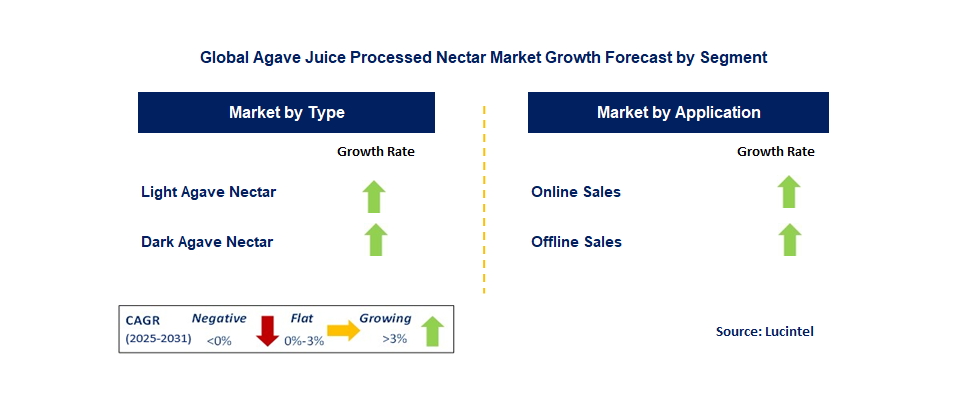 Agave Juice Processed Nectar Market by Segment