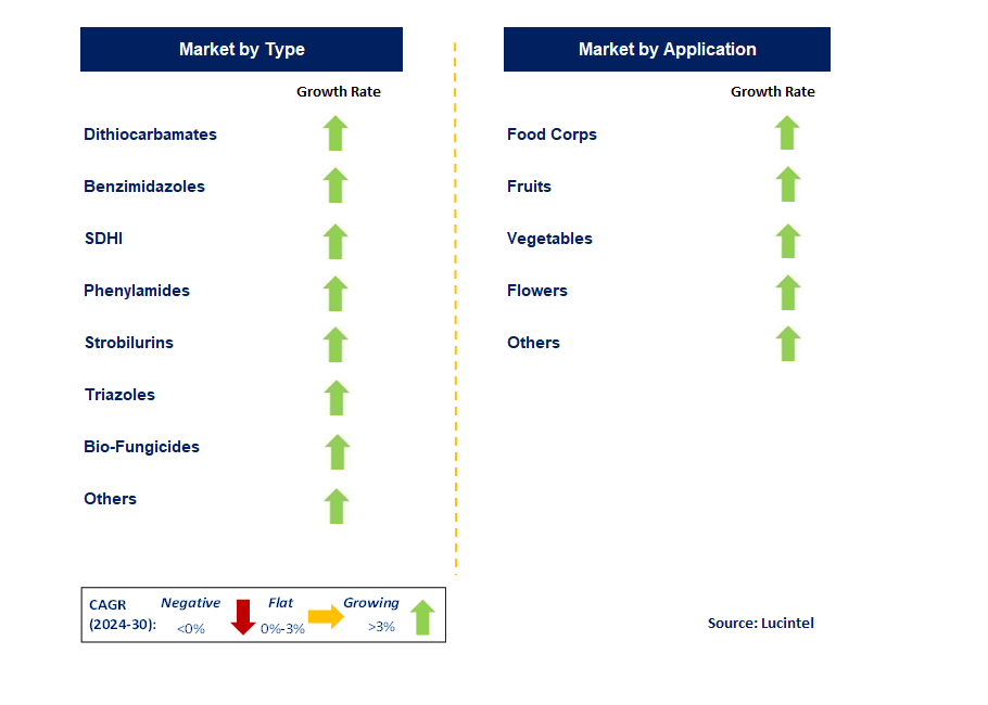 Agricultural Fungicide by Segment