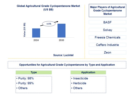 Agricultural Grade Cyclopentanone Trends and Forecast