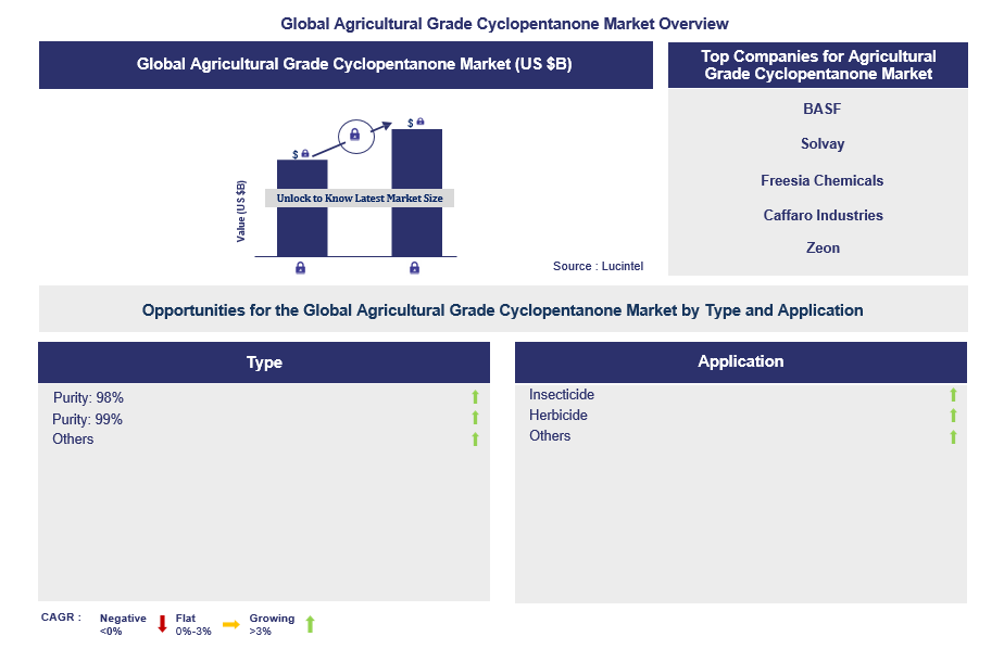 Agricultural Grade Cyclopentanone Trends and Forecast