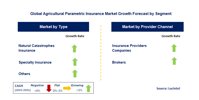 Agricultural Parametric Insurance Market by Segment
