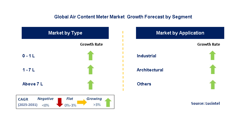 Air Content Meter Market by Segment