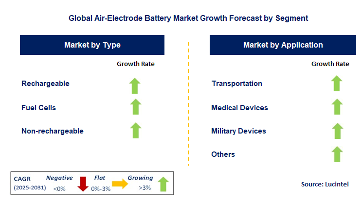 Air-Electrode Battery Market by Segment