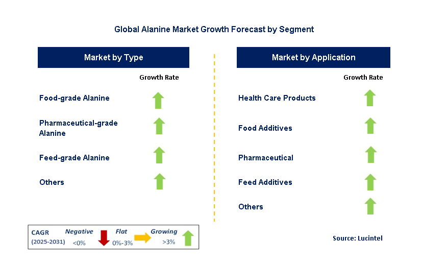 Alanine Market by Segment