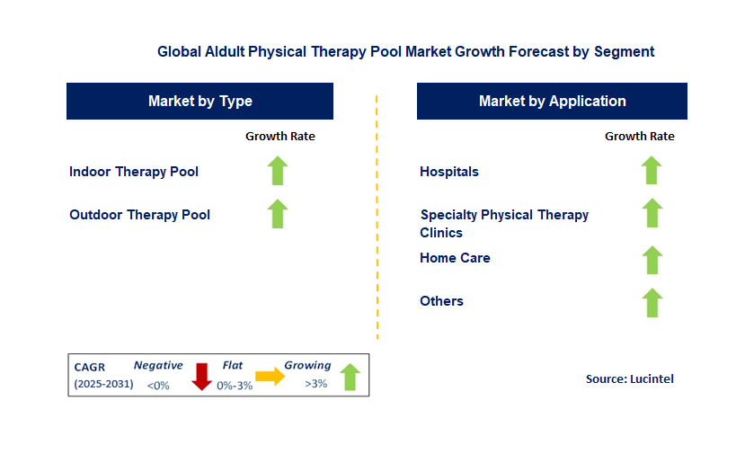 Aldult Physical Therapy Pool Market by Segment