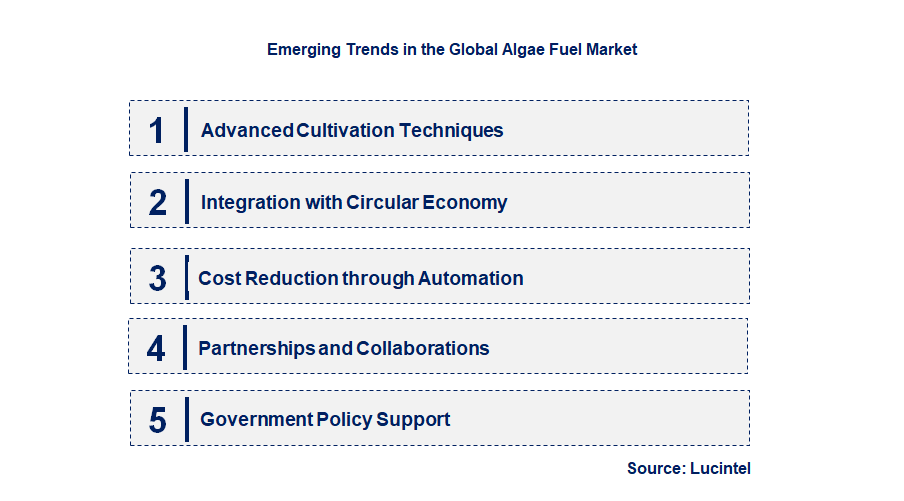 Emerging Trends in the Algae Fuel Market