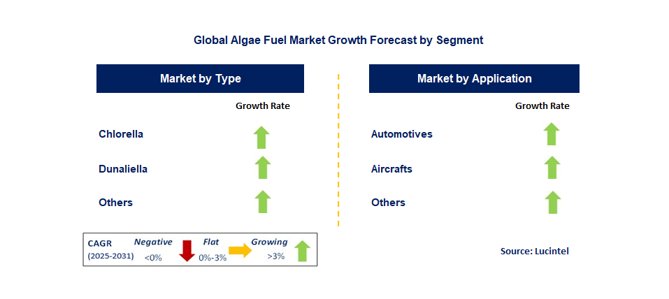 Algae Fuel Market by Segment