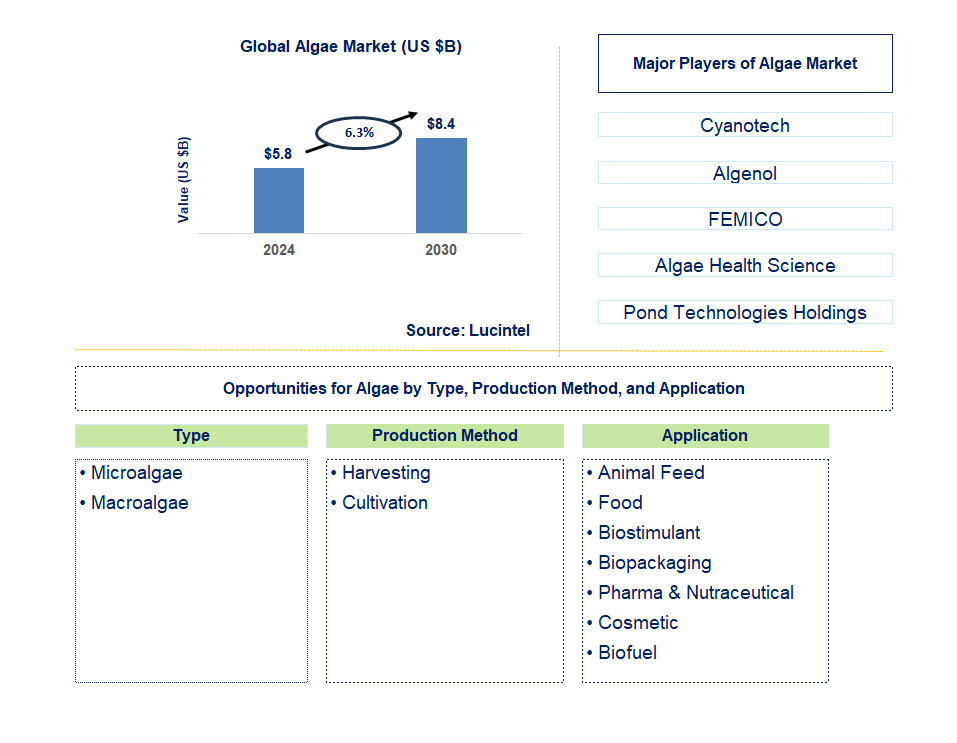 Algae Trends and Forecast