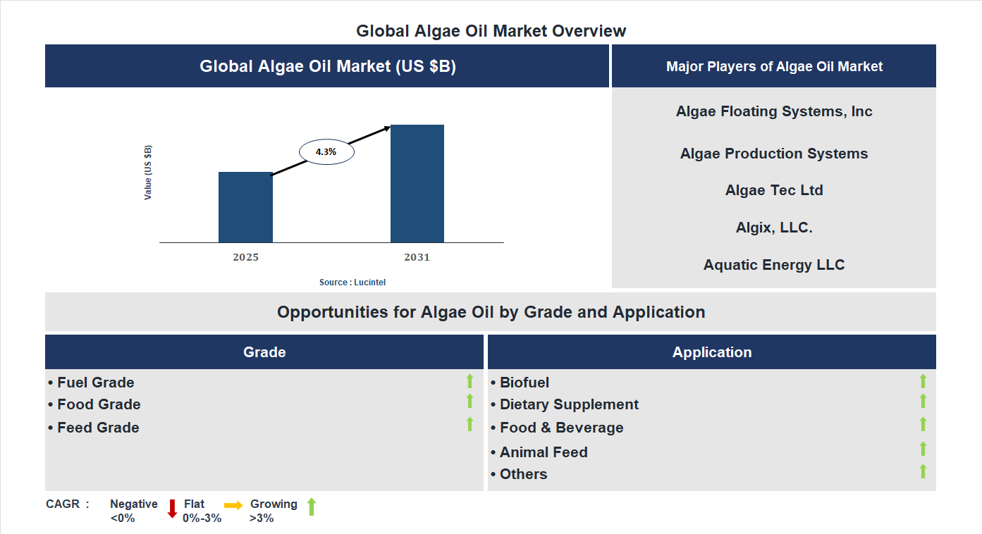 Algae Oil Market Trends and Forecast