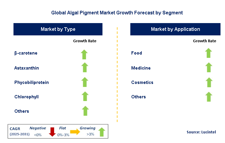 Algal Pigment Market by Segment