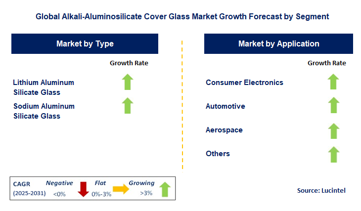 Alkali-Aluminosilicate Cover Glass Market by Segment