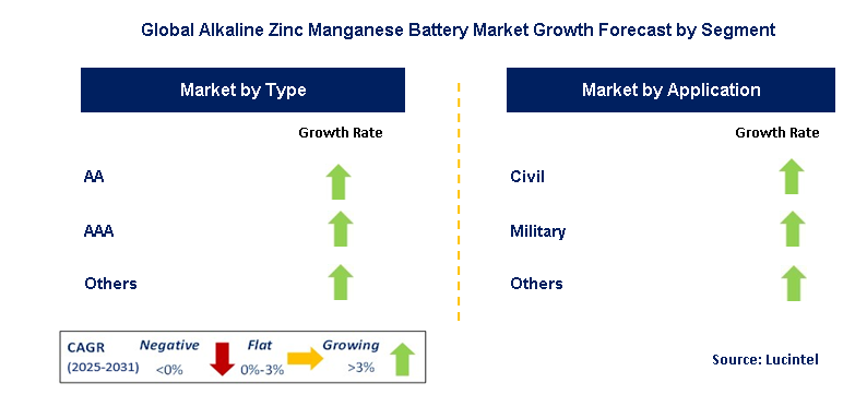 Alkaline Zinc Manganese Battery Market by Segment