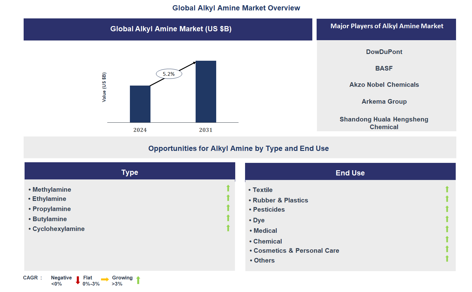 Alkyl Amine Market Trends and Forecast