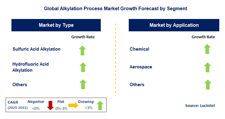 Alkylation Process Market by Segment