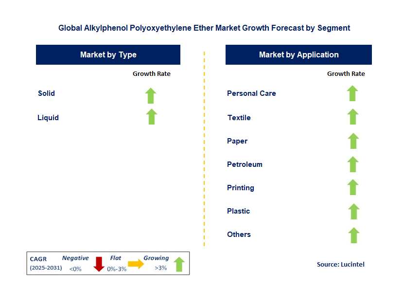Alkylphenol Polyoxyethylene Ether Market by Segment