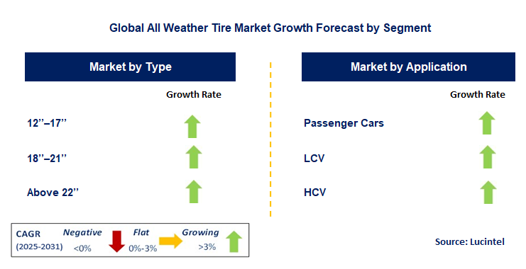 All Weather Tire Market by Segment
