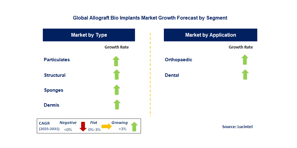 Allograft Bio Implants Market by Segment