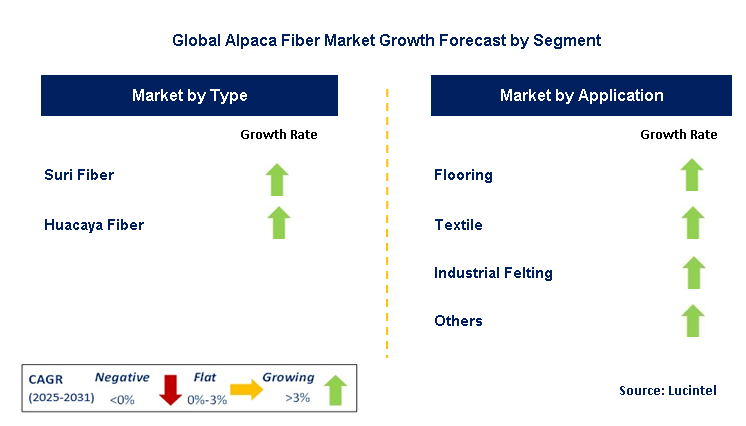 Alpaca Fiber Market by Segment