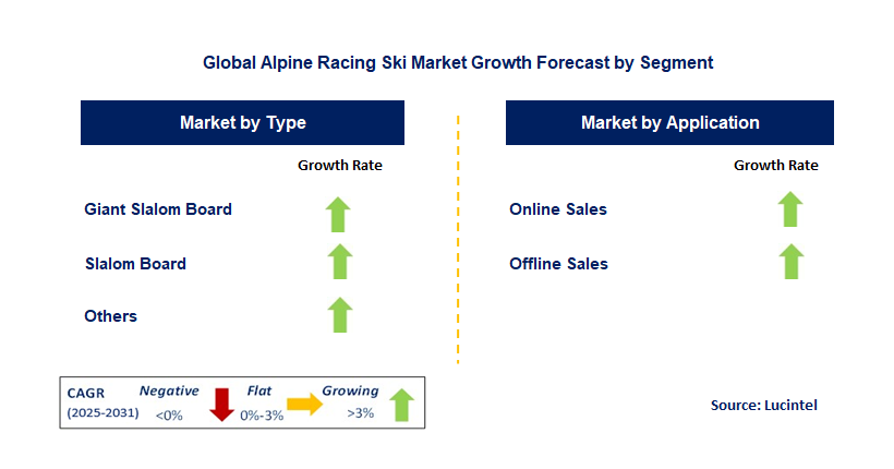 Alpine Racing Ski Market by Segment