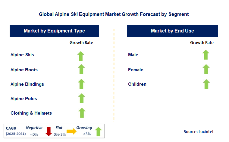 Alpine Ski Equipment Market by Segment