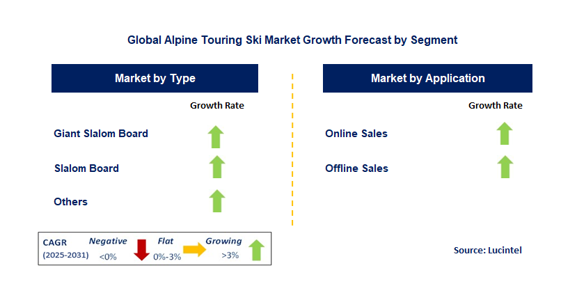 Alpine Touring Ski Market by Segment