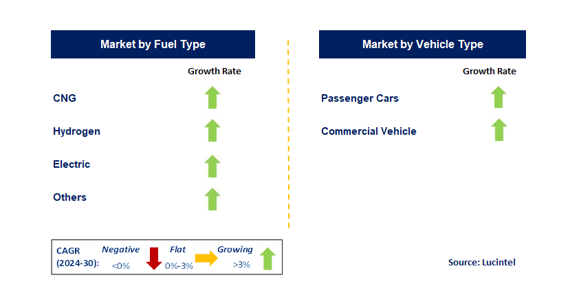 Alternative Fuel by Segment