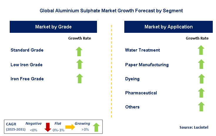 Aluminium Sulphate Market by Segment