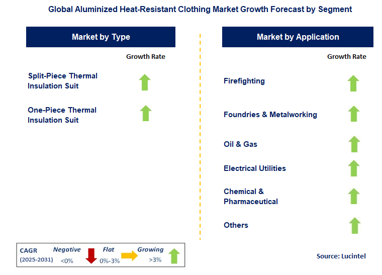 Aluminized Heat-Resistant Clothing Market by Segment