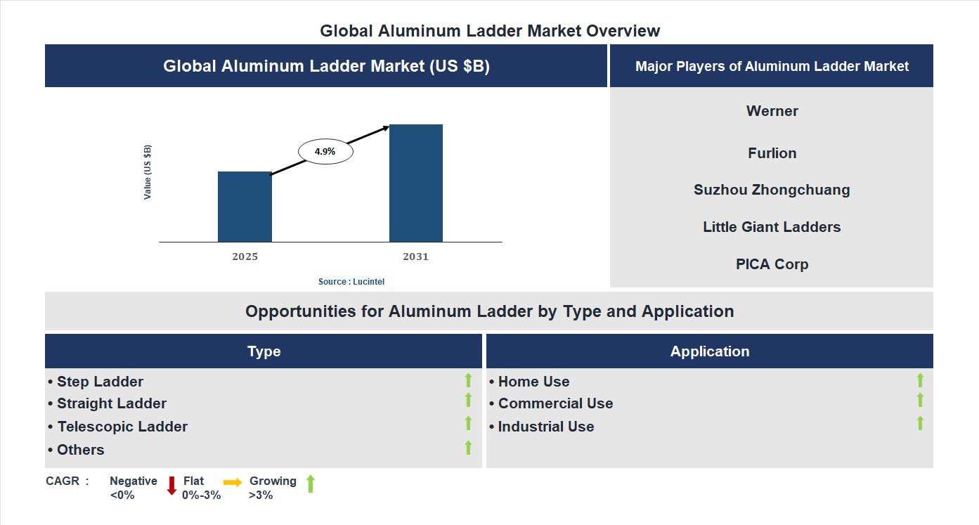 Aluminum Ladder Market Trends and Forecast