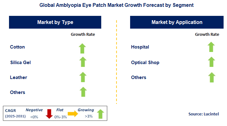 Amblyopia Eye Patch Market by Segment