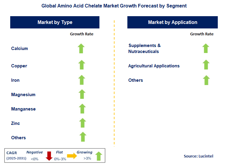 Amino Acid Chelate Market by Segment