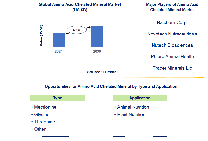 Amino Acid Chelated Mineral Market Trends and Forecast