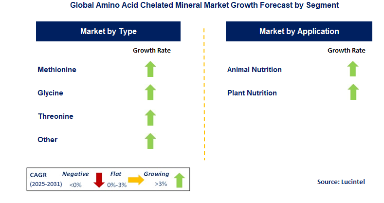 Amino Acid Chelated Mineral Market by Segment