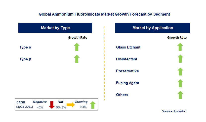 Ammonium Fluorosilicate Market by Segment