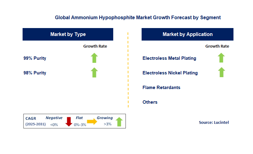 Ammonium Hypophosphite Market by Segment