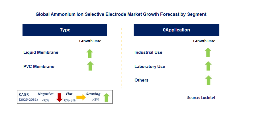 Ammonium Ion Selective Electrode Market by Segment