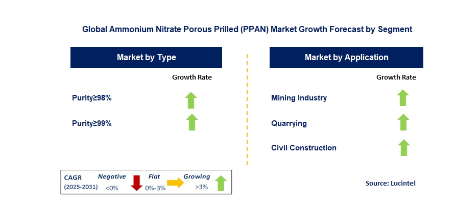 Ammonium Nitrate Porous Prilled (PPAN) Market by Segment