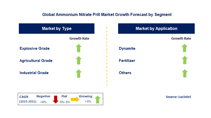 Ammonium Nitrate Prill Market by Segment