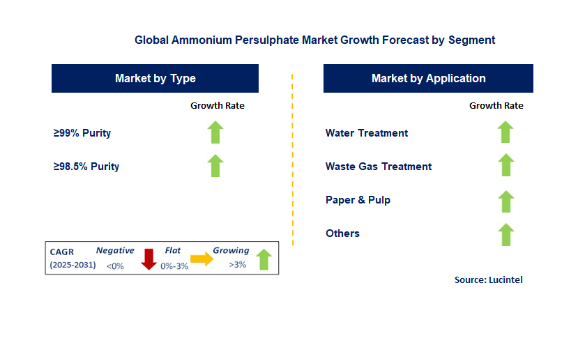 Ammonium Persulphate Market by Segment