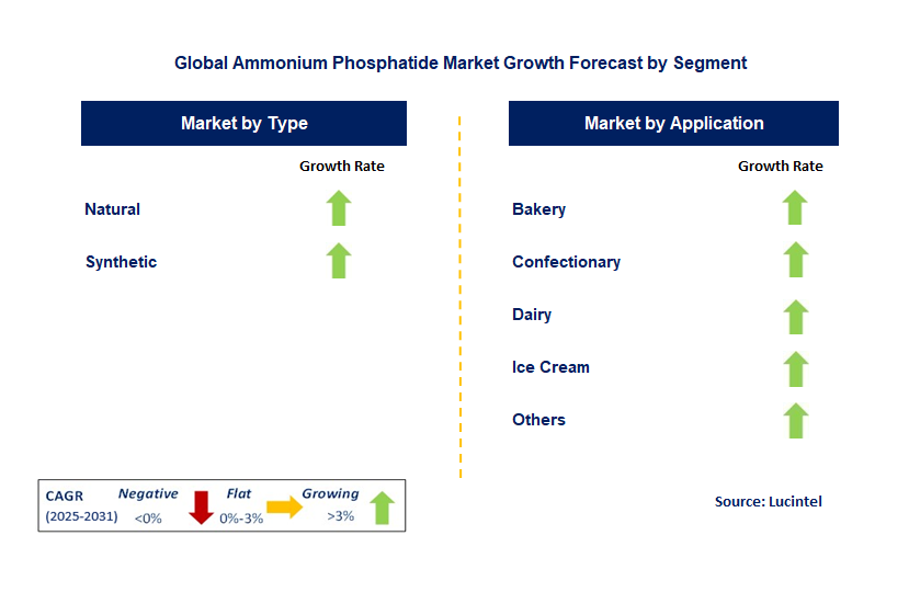 Ammonium Phosphatide Market by Segment