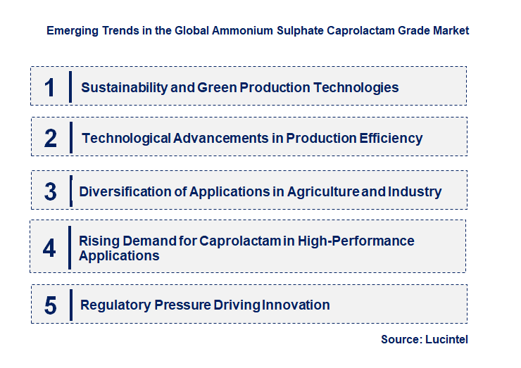 Emerging Trends in the Ammonium Sulphate Caprolactam Grade Market