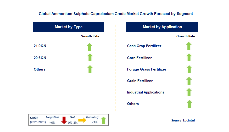 Ammonium Sulphate Caprolactam Grade Market by Segment