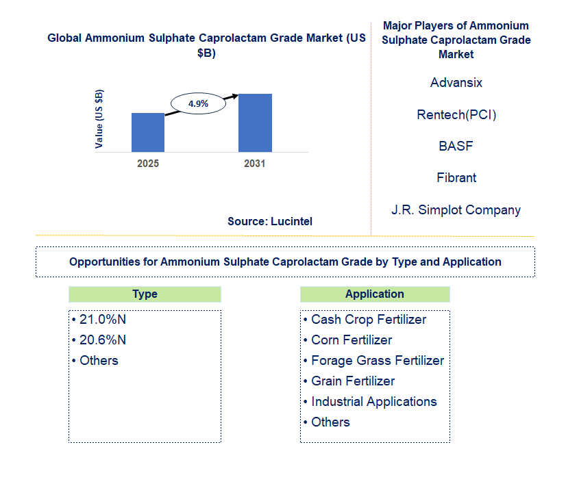 Ammonium Sulphate Caprolactam Grade Market Trends and Forecast