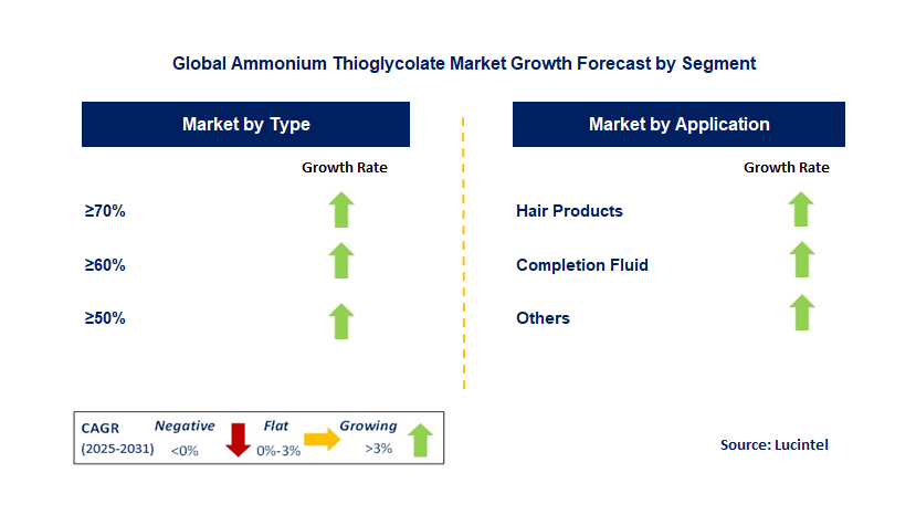 Ammonium Thioglycolate Market by Segment