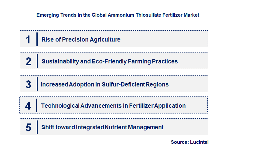 Emerging Trends in the Ammonium Thiosulfate Fertilizer Market