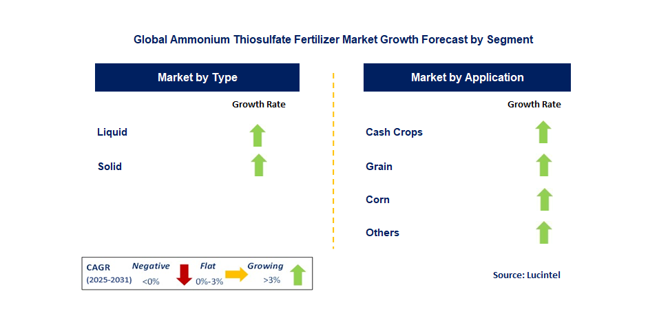 Ammonium Thiosulfate Fertilizer Market by Segment