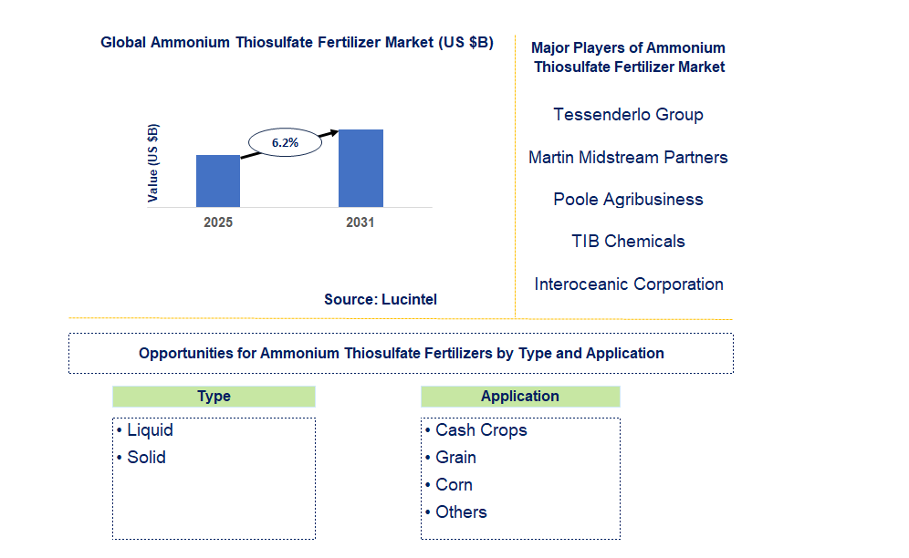 Ammonium Thiosulfate Fertilizer Market Trends and Forecast