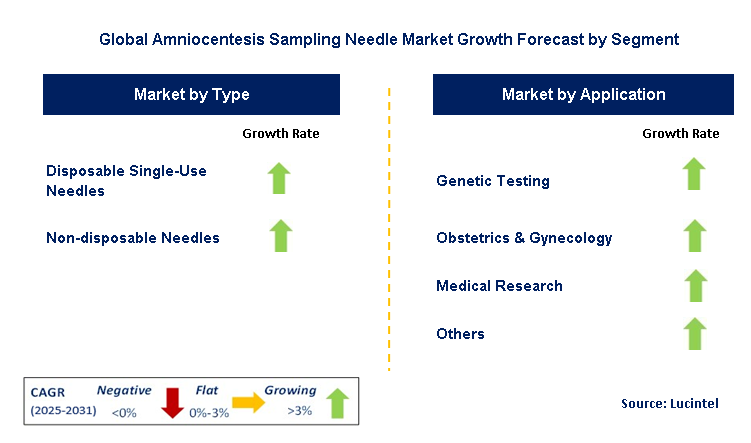 Amniocentesis Sampling Needle Market by Segment