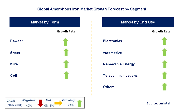 Amorphous Iron Market by Segment